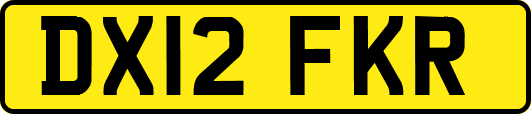 DX12FKR