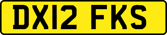 DX12FKS