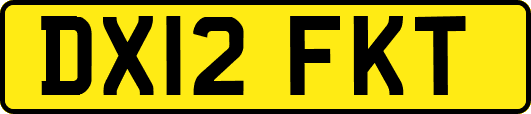 DX12FKT