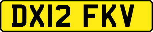 DX12FKV