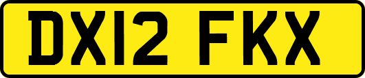 DX12FKX