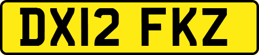 DX12FKZ