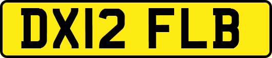 DX12FLB