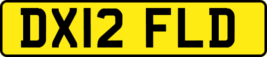 DX12FLD
