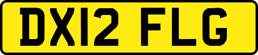 DX12FLG