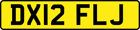 DX12FLJ