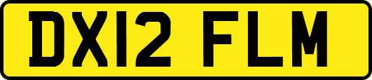 DX12FLM