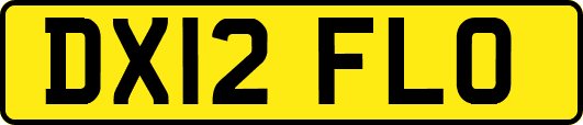 DX12FLO