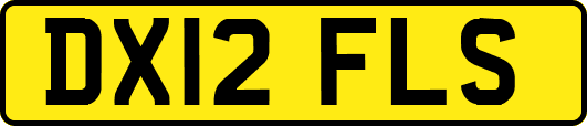 DX12FLS