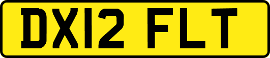 DX12FLT