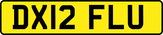 DX12FLU