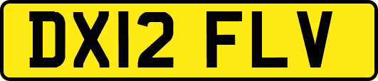 DX12FLV