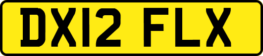 DX12FLX