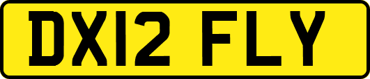 DX12FLY