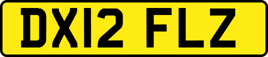 DX12FLZ