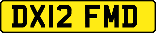 DX12FMD