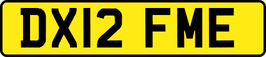 DX12FME