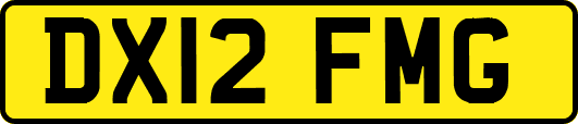 DX12FMG