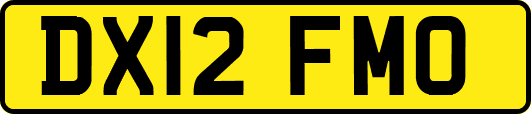 DX12FMO