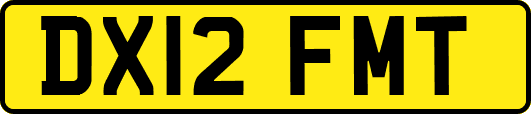 DX12FMT