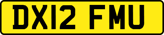DX12FMU