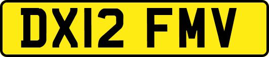 DX12FMV