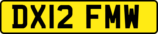 DX12FMW