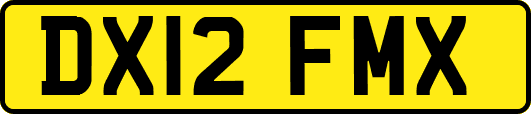 DX12FMX