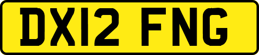 DX12FNG
