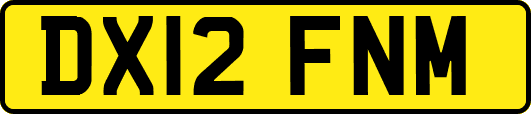 DX12FNM