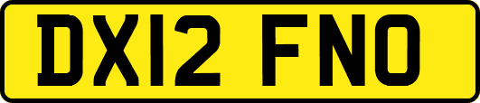 DX12FNO