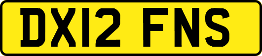 DX12FNS