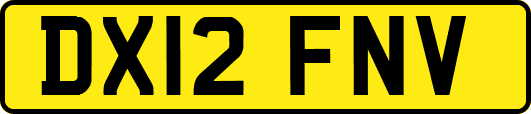 DX12FNV