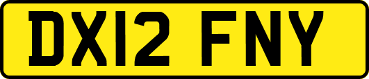 DX12FNY
