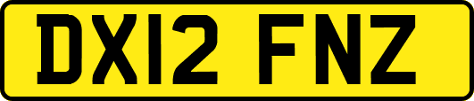 DX12FNZ
