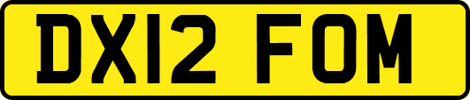 DX12FOM
