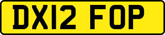 DX12FOP
