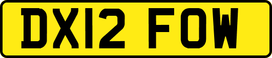 DX12FOW