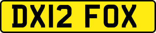 DX12FOX