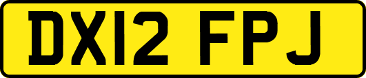 DX12FPJ