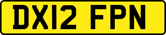DX12FPN