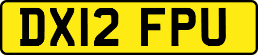 DX12FPU