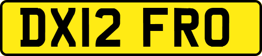DX12FRO
