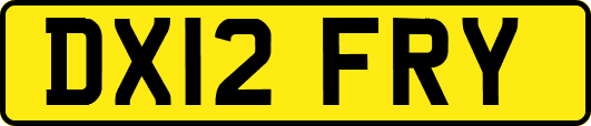 DX12FRY