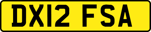 DX12FSA