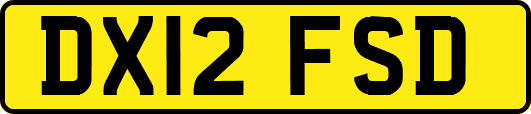 DX12FSD