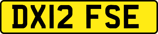 DX12FSE