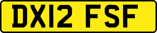 DX12FSF