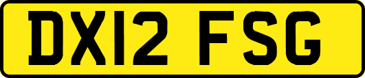 DX12FSG