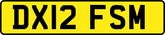 DX12FSM